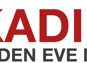 kadikoy-evden-eve-nakliyat-logo